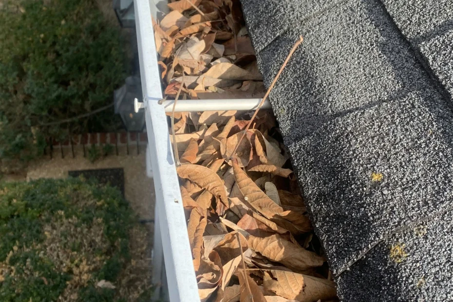 Gutter Cleaning Taylors